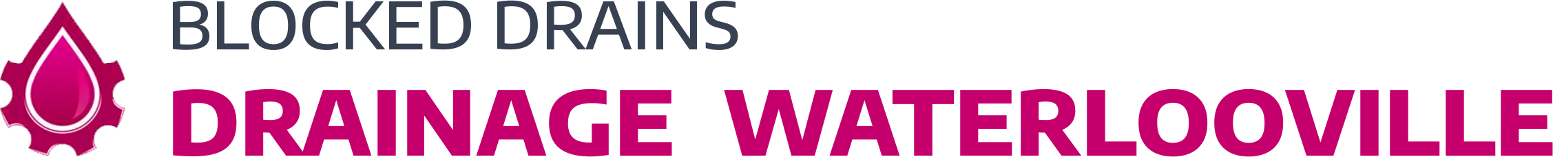 website logo